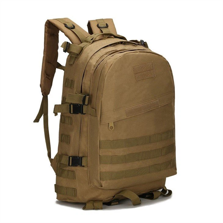 Bag008R-D01